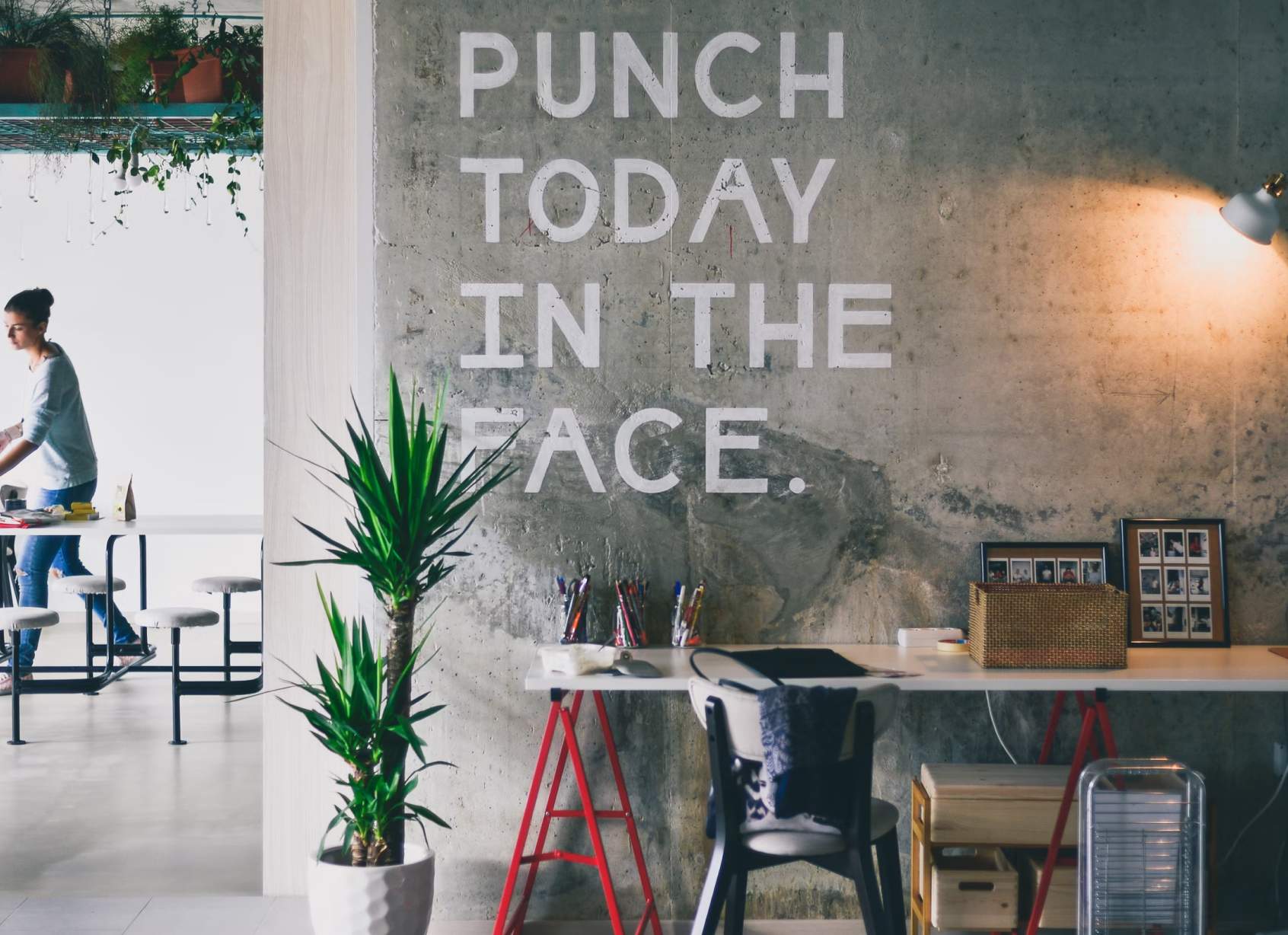 startup cool room